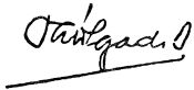Sign 060 elsavador presidente 1980-81 delgado.jpg