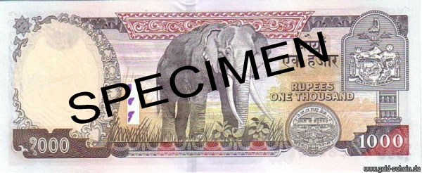 Nepal, P-51, 1.000 Rupees, 2002, indischer Elefant .jpg