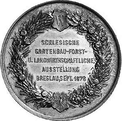 Datei:1878 Gartenbauausstellung-4753-v.jpg