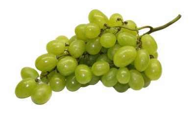 Weintraube.jpg