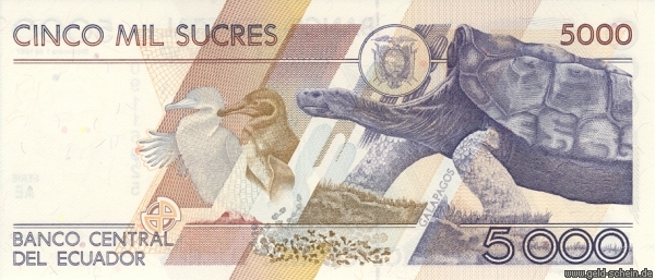 Ecuador, P-126a, 5.000 Sucres, 1987, Schildkröte.jpg
