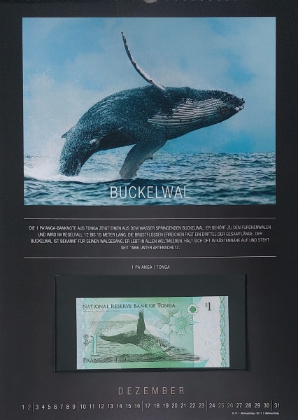 Datei:REPPA 2018 DEZ.jpg