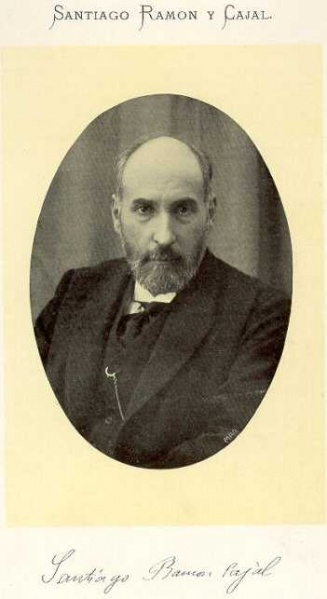 Datei:Santiago Ramon Cajal.jpg
