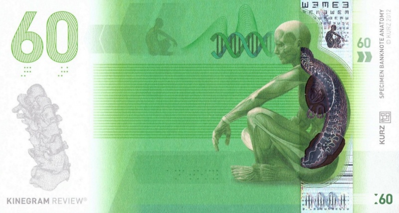 Datei:Anatomie 60, 2012 Vs.jpg