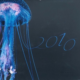 G&D 2010 Deckblatt.jpg