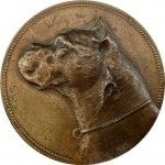 Hundeausstellung -1925 - Boxer-vf.jpg