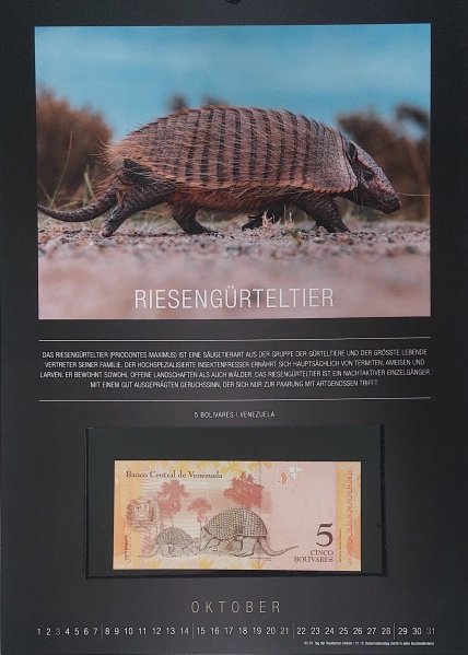 Datei:REPPA 2018 OKT.jpg