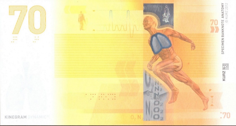 Datei:Anatomie 70, 2012 Vs.jpg