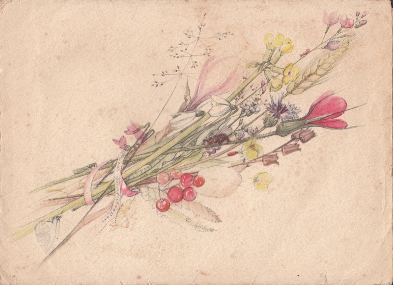 Datei:Geschenk der Sparkasse - 2 - UmschlagK.jpg