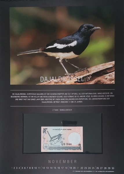 Datei:REPPA 2018 NOV.jpg