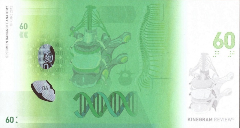 Datei:Anatomie 60, 2012 Rs.jpg