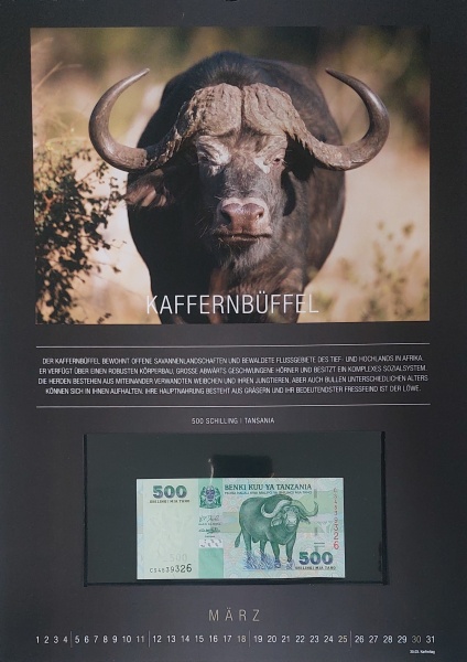 Datei:REPPA 2018 MRZ.jpg