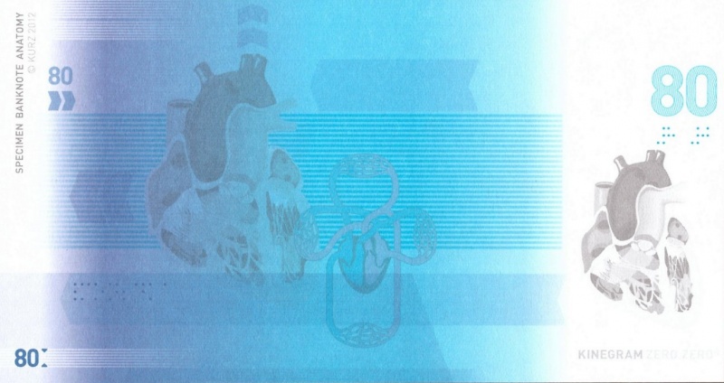 Datei:Anatomie 80, 2012 Rs.jpg