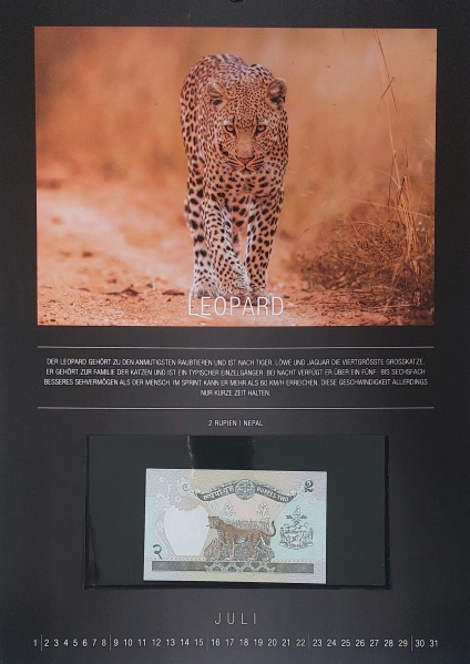 Datei:REPPA 2018 JUL.jpg