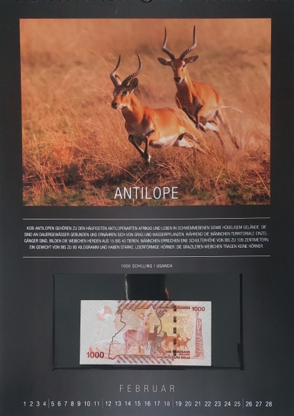 Datei:REPPA 2018 FEB.jpg