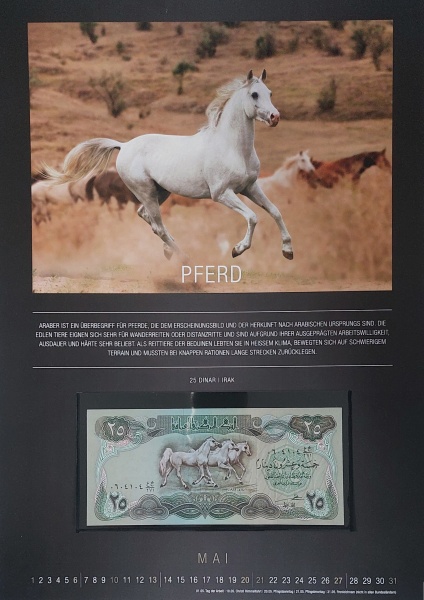 Datei:REPPA 2018 MAI.jpg