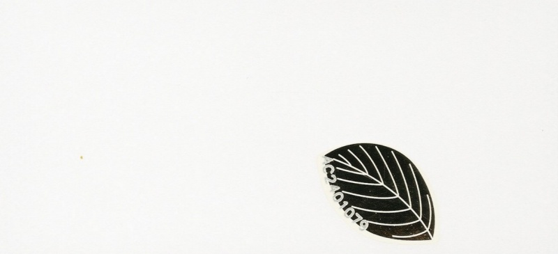 Datei:LOOK 2004, Note2.jpg