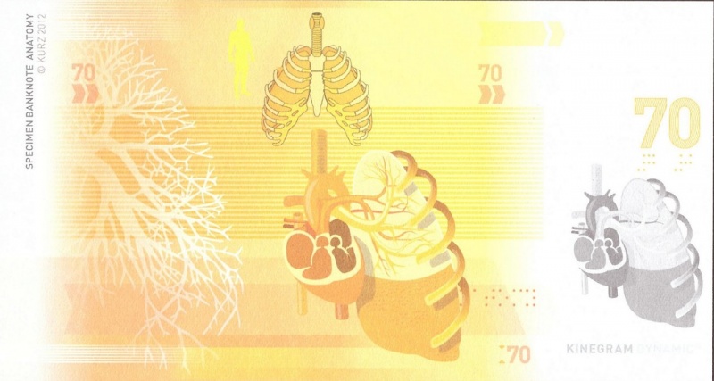 Datei:Anatomie 70, 2012 Rs.jpg