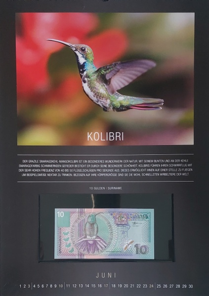 Datei:REPPA 2018 JUN.jpg