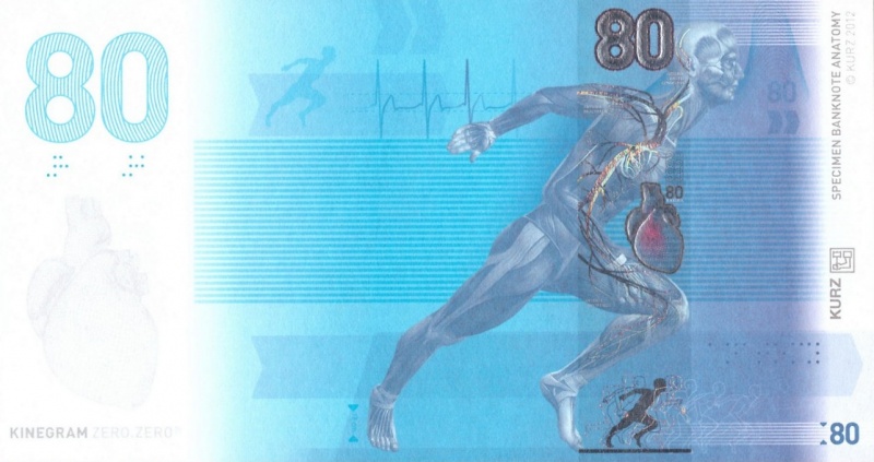 Datei:Anatomie 80, 2012 Vs.jpg