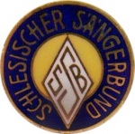 SSB-Nadel-2- 5,5 x 1,7 cm-1.jpg