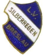 000S-LV Silberregen.jpg