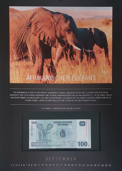 Datei:REPPA 2018 SEP.jpg